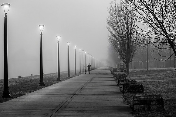 A Foggy Morning